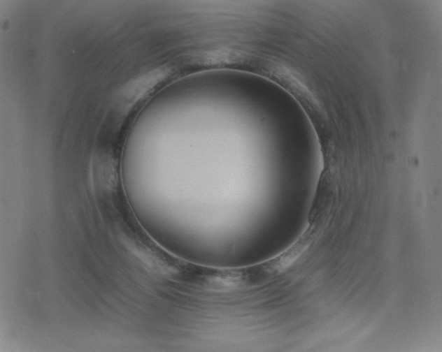 X0000077280164200610201117