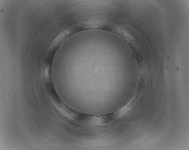 X0000077280166200610201117