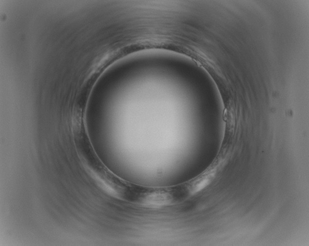 X0000077280168200610201117