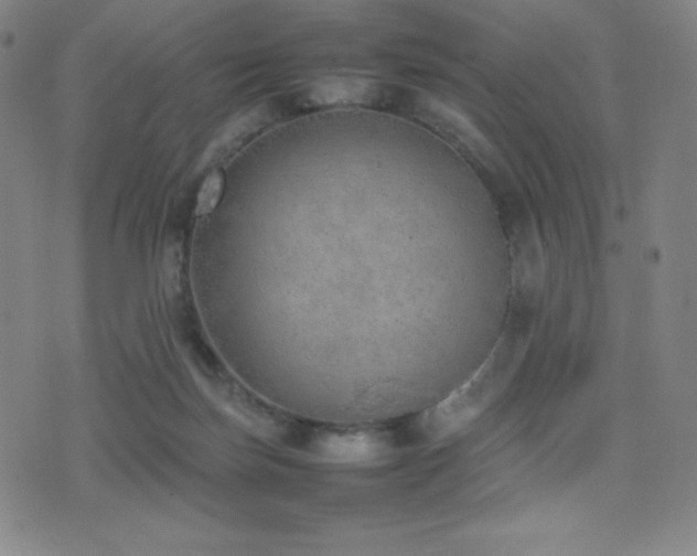 X0000077280171200610201118