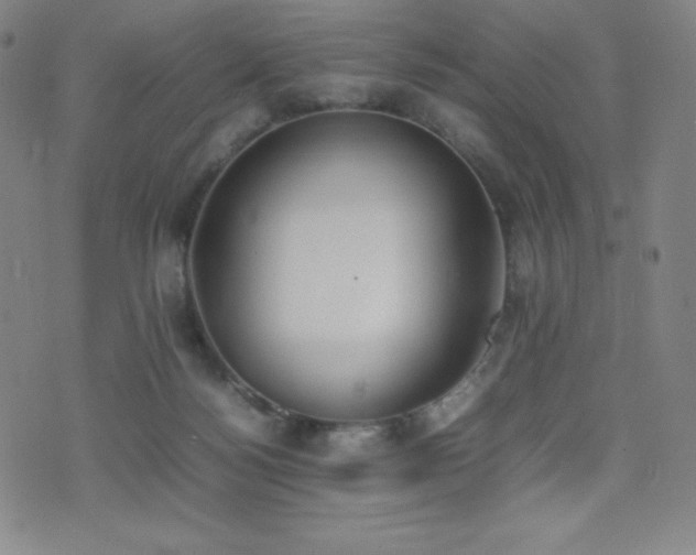 X0000077280172200610201118