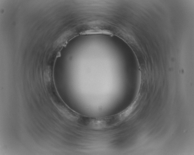X0000077280174200610201118