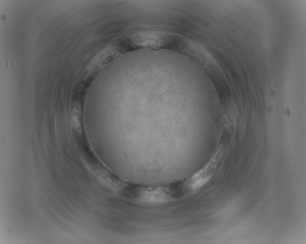 X0000077280175200610201118