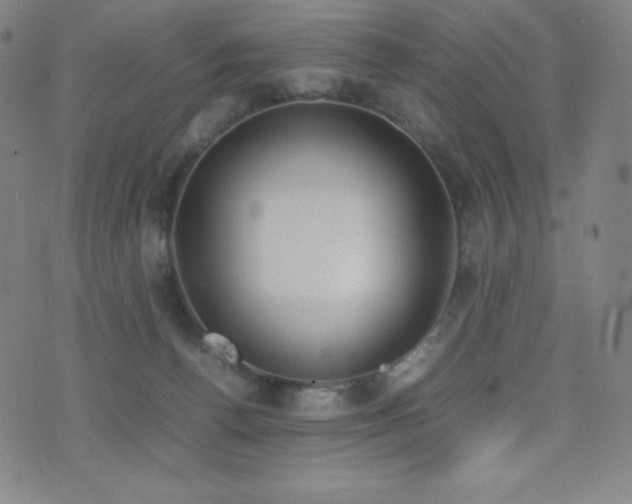 X0000077280176200610201118