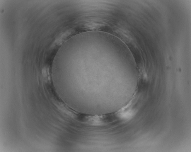 X0000077280182200610201118