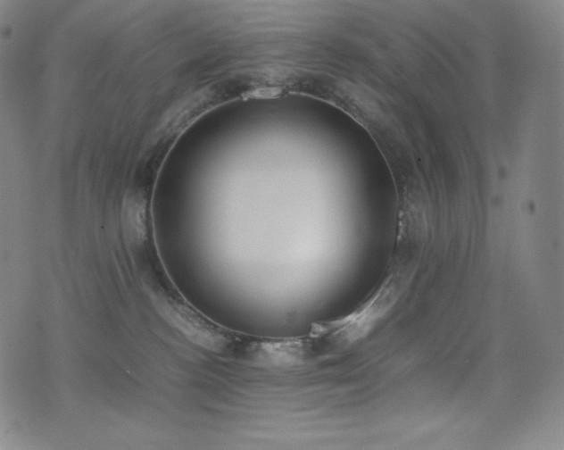 X0000077280188200610201118