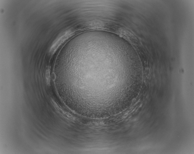 X0000077280194200610201117