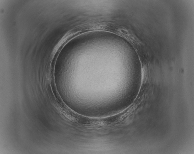 X0000077280195200610201117
