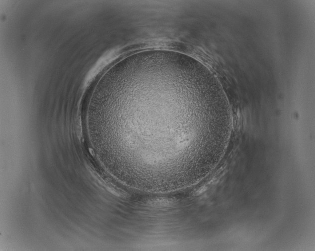 X0000077280198200610201117
