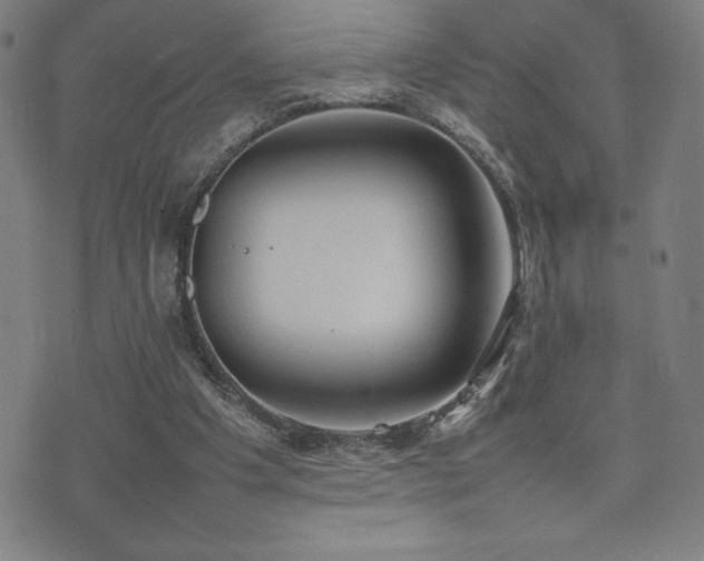 X0000077280201200610201117