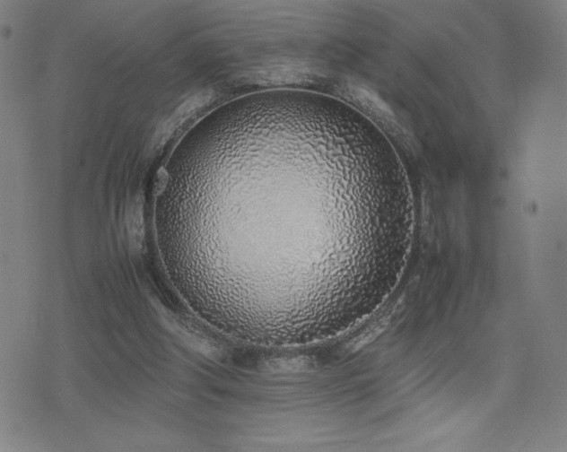 X0000077280202200610201117