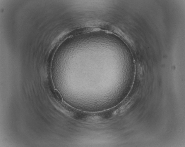 X0000077280203200610201117