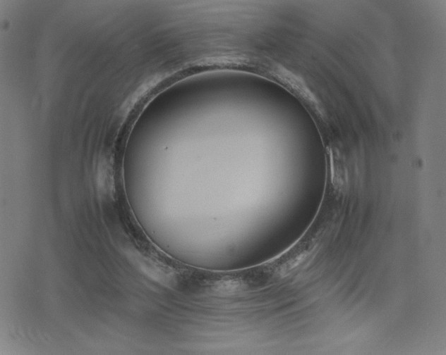 X0000077280204200610201117