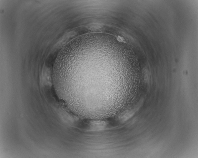 X0000077280234200610201116