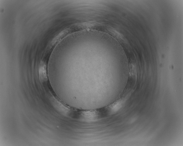 X0000077280238200610201116