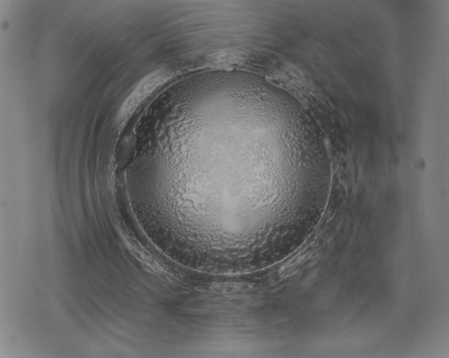 X0000077280242200610201116