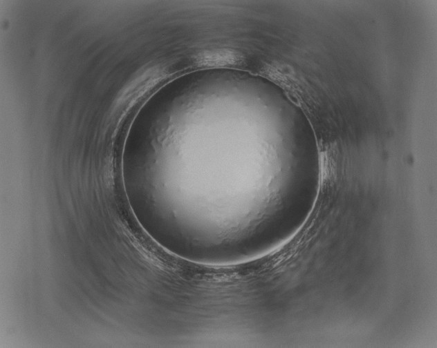X0000077280243200610201116