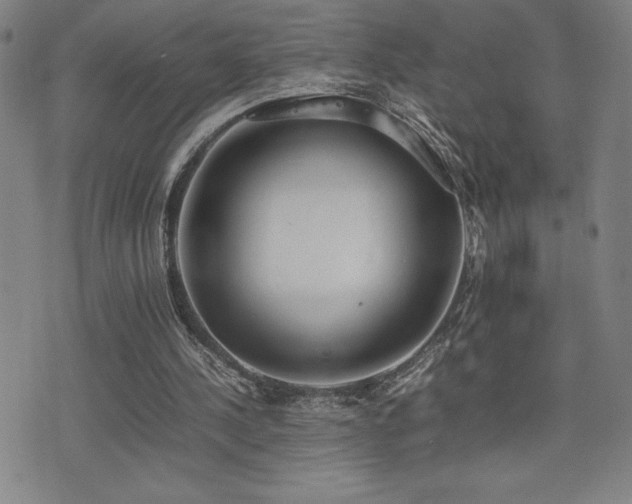 X0000077280244200610201116
