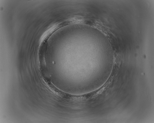 X0000077280245200610201116