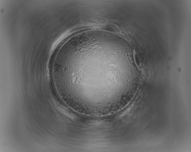 X0000077280246200610201116