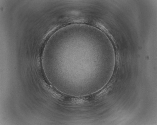 X0000077280249200610201116