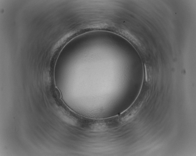 X0000077280252200610201116