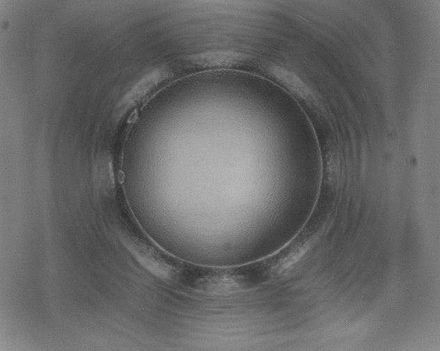 X0000077280254200610201116