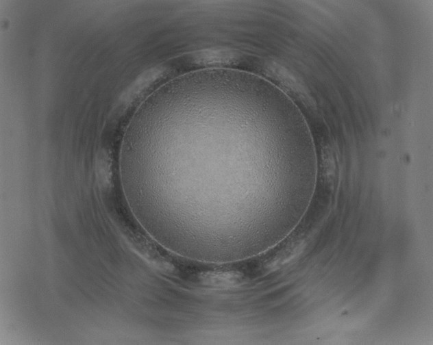 X0000077280255200610201116
