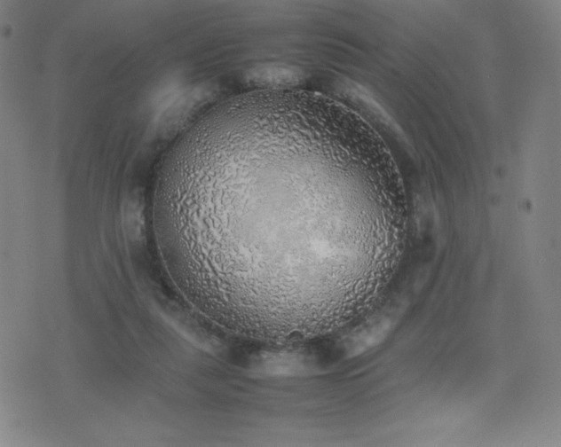 X0000077280259200610201116