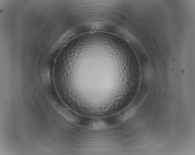 X0000077280262200610201116