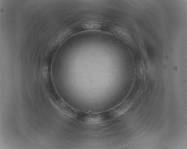 X0000077280263200610201116