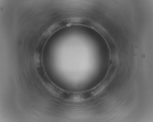 X0000077280264200610201116