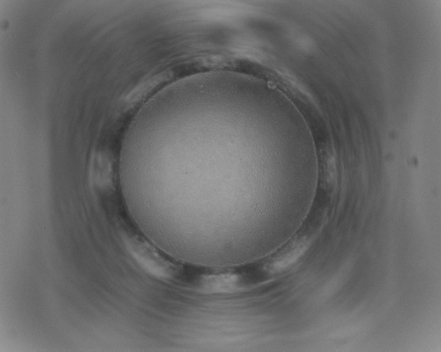X0000077280266200610201116