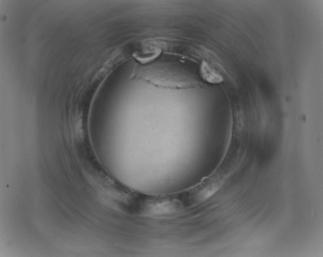 X0000077280267200610201116