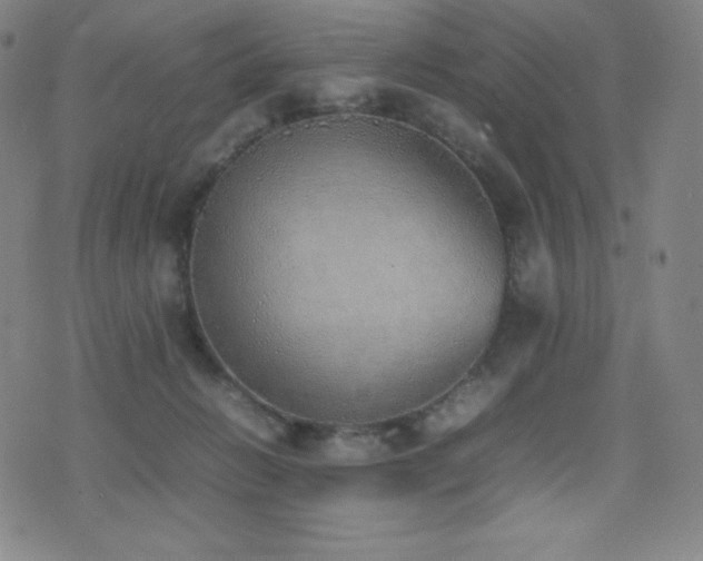 X0000077280270200610201116