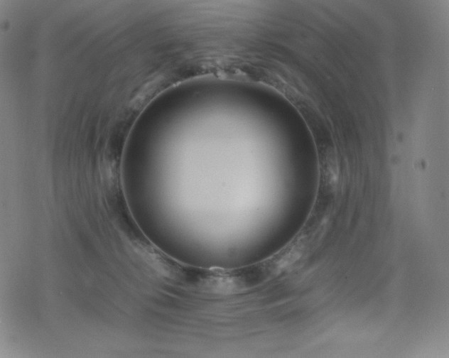 X0000077280276200610201116