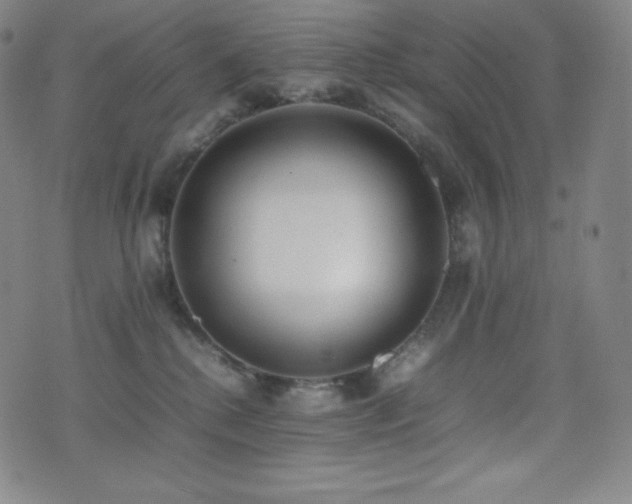 X0000077280280200610201116