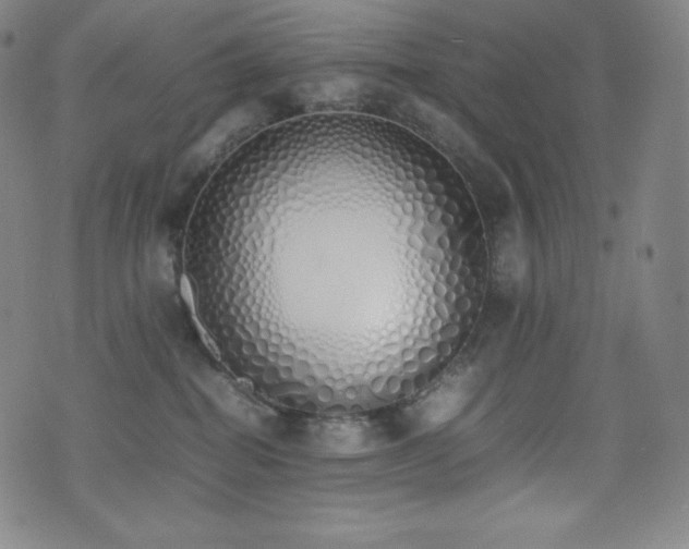 X0000077280282200610201116