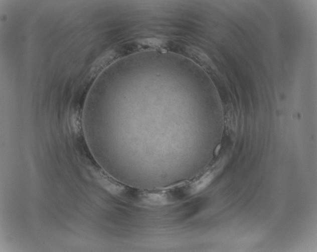 X0000077280285200610201116