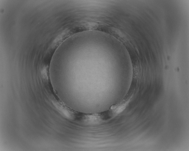 X0000077280286200610201116