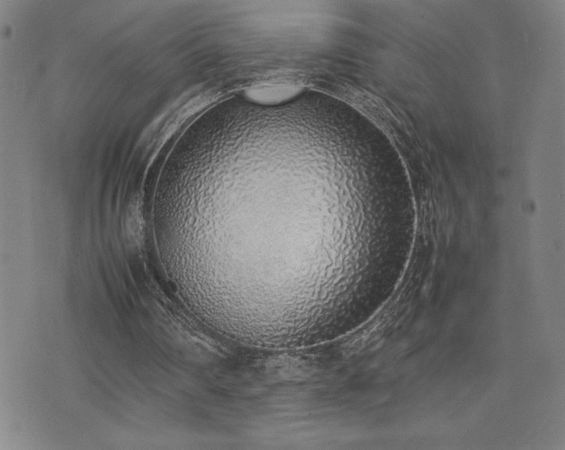 X0000077280290200610201115