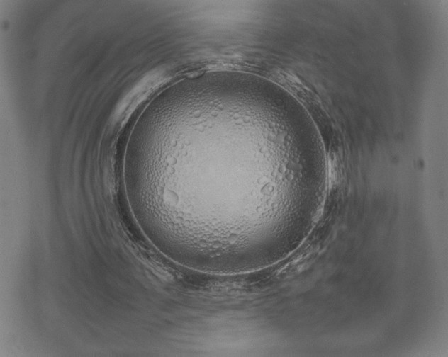 X0000077280291200610201115