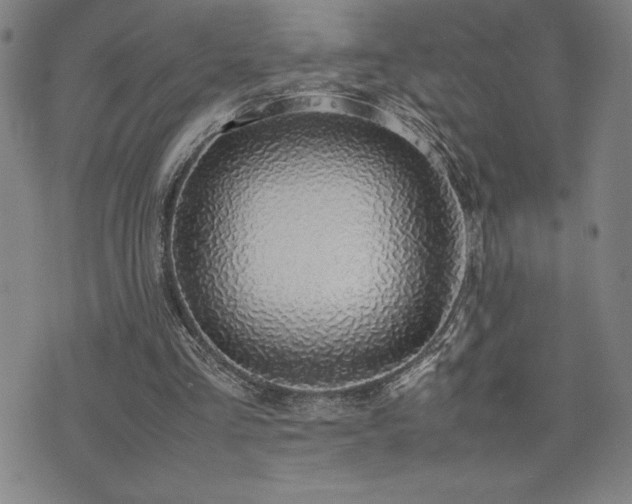 X0000077280293200610201115