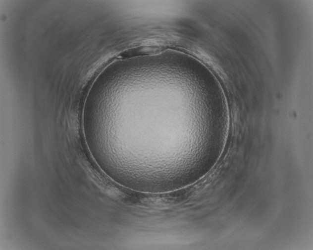 X0000077280297200610201115