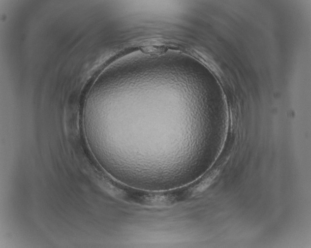 X0000077280301200610201115