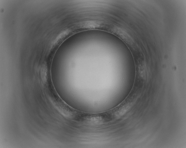 X0000077280304200610201115