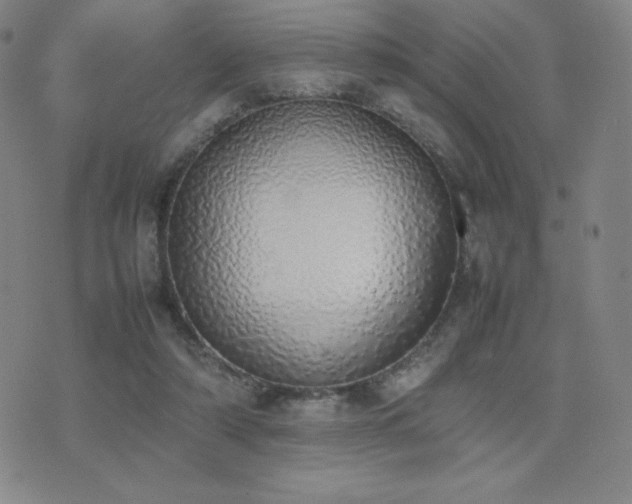 X0000077280306200610201115