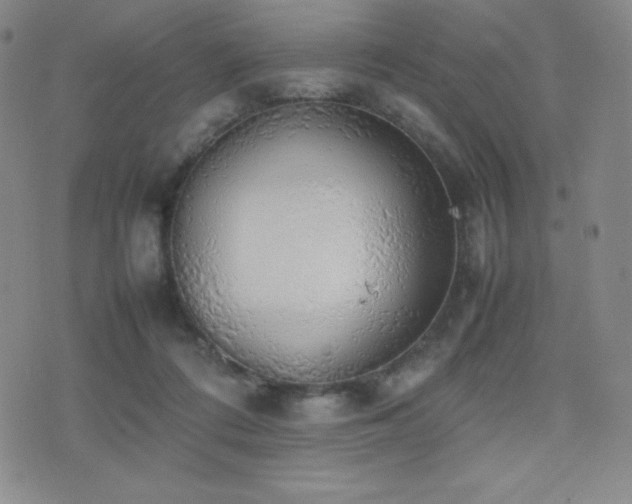 X0000077280312200610201115