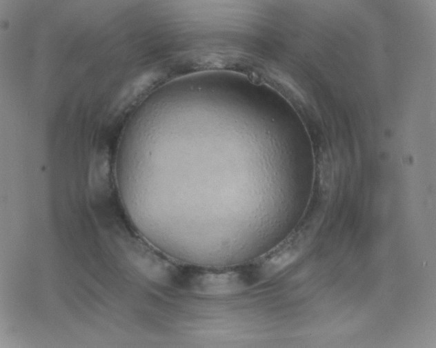 X0000077280314200610201115
