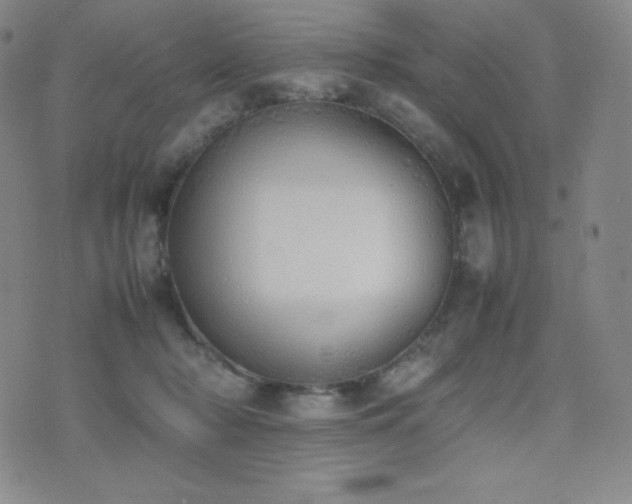 X0000077280318200610201115